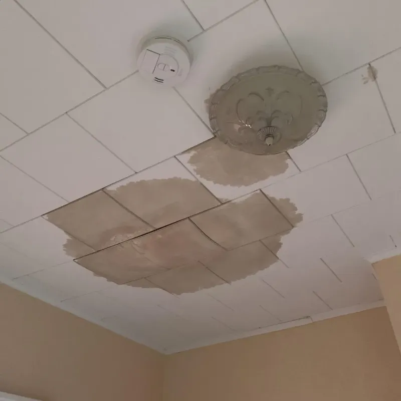 Ceiling Water Damage Repair in Oakwood, PA