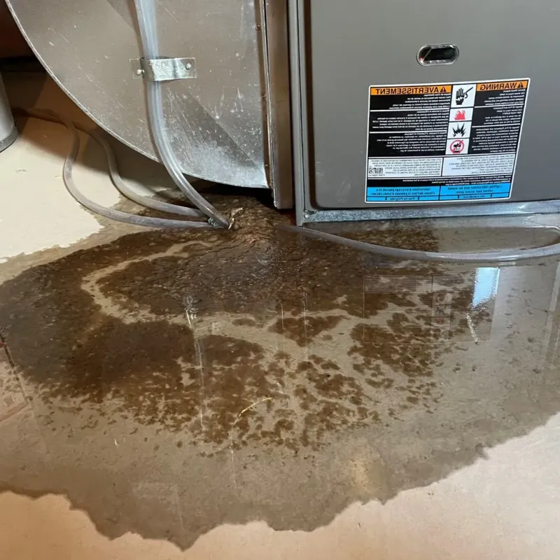 Pipe Burst and Leak Restoration in Oakwood, PA