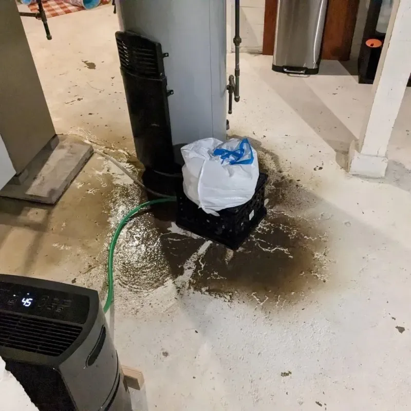 Sewage Backup Cleanup Service in Oakwood, PA